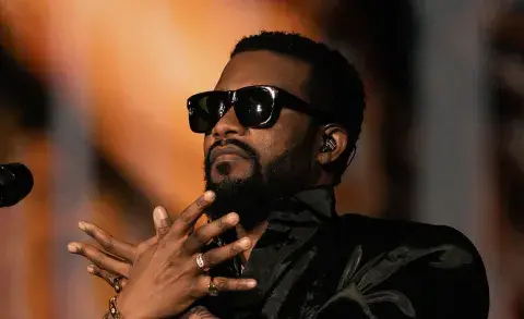 Photo Fally Ipupa en concert 2026