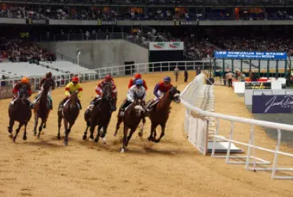 Les Chevaux du Stade